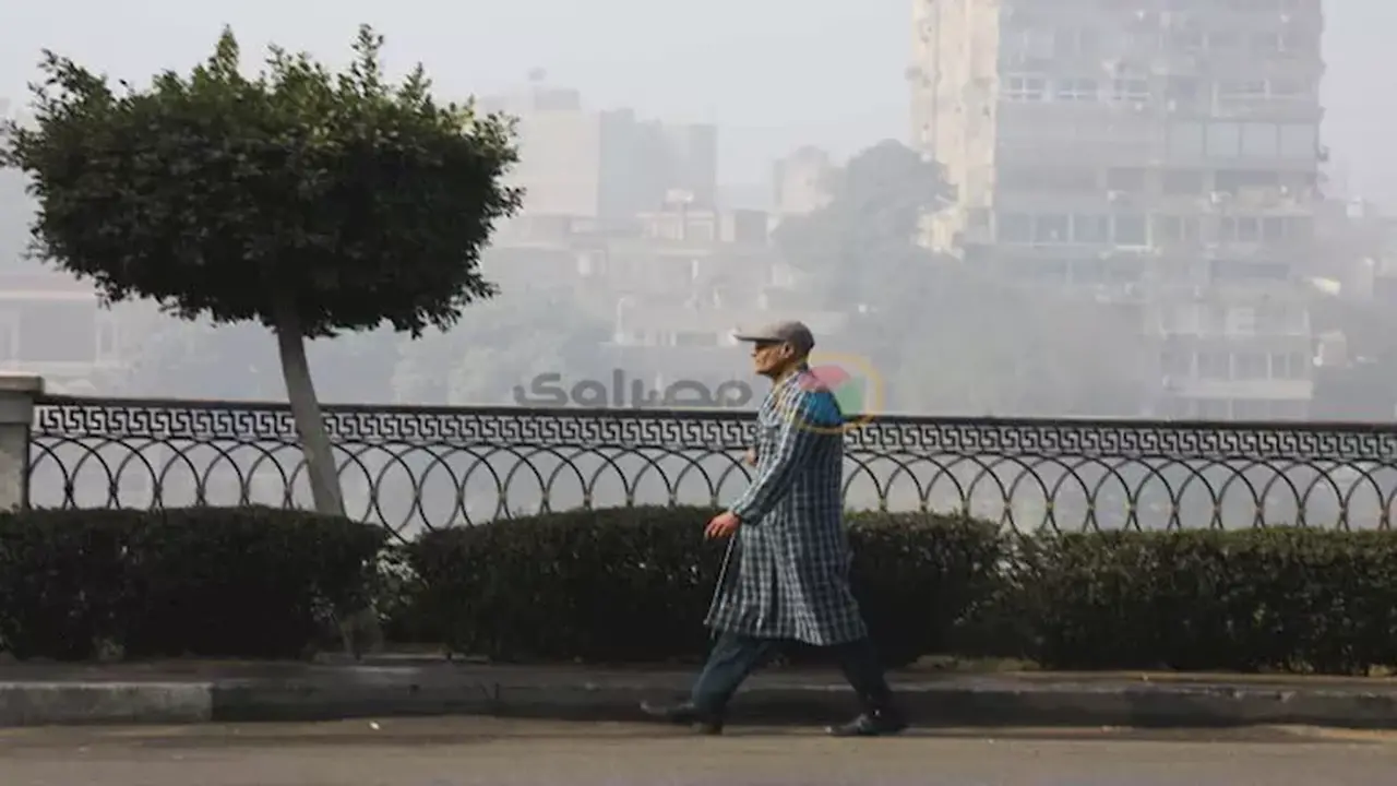 تقلبات جوية حادة.. الأرصاد تحذر من قفزة حرارية وشبورة كثيفة حتى السبت المقبل